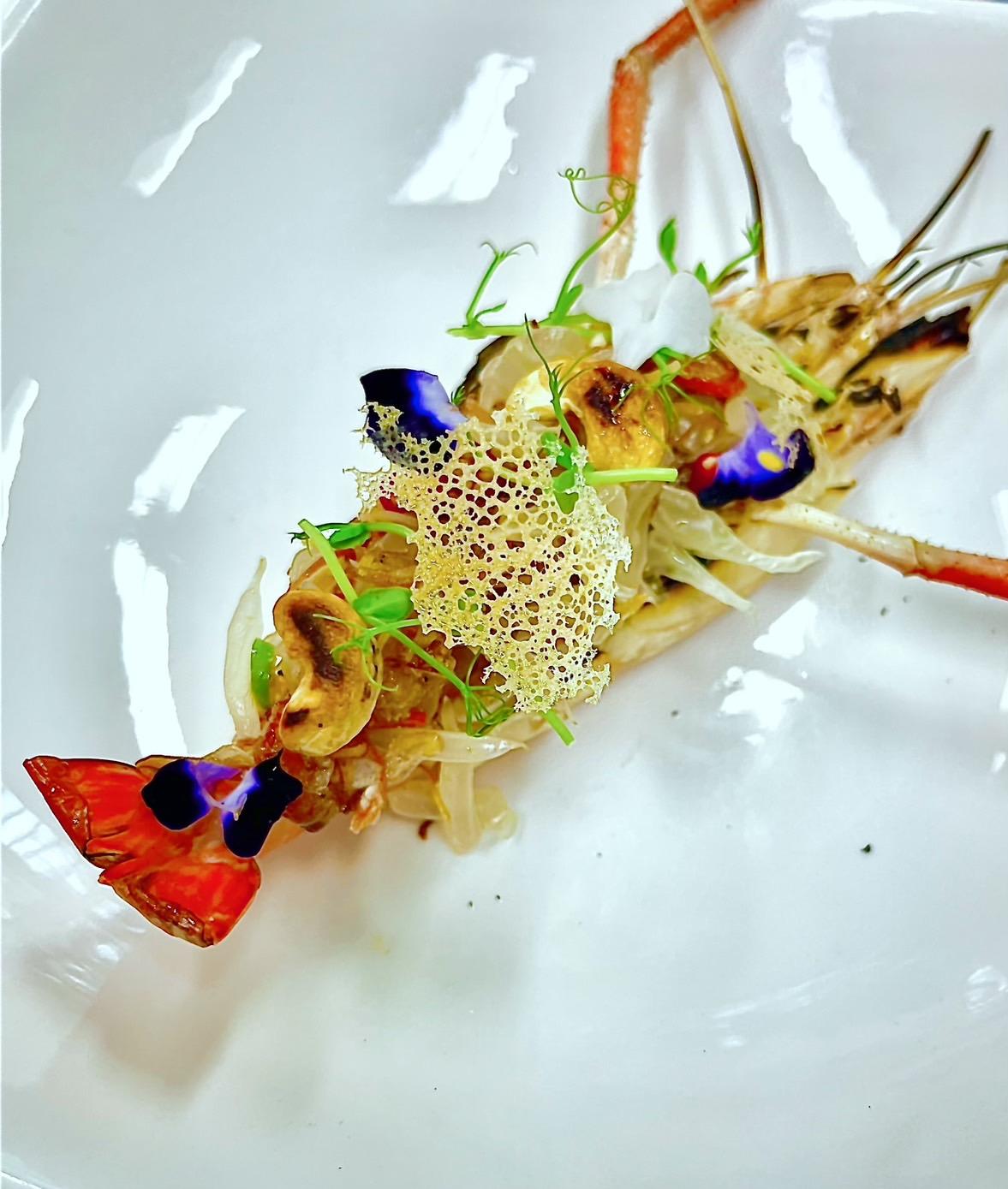 herb-fusion by chef paan