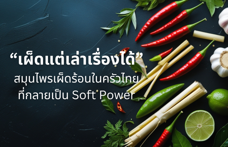 “เผ็ดแต่เล่าเรื่องได้” สมุนไพรเผ็ดร้อนในครัวไทย ที่กลายเป็น Soft Power